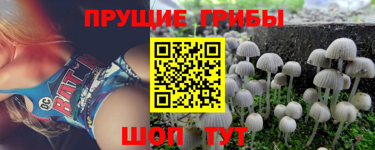 Галлюциногенные грибы Psilocybe  Вход с VPN  Артёмовский 